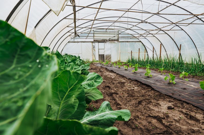 Lanai Removal in Sacramento, CA